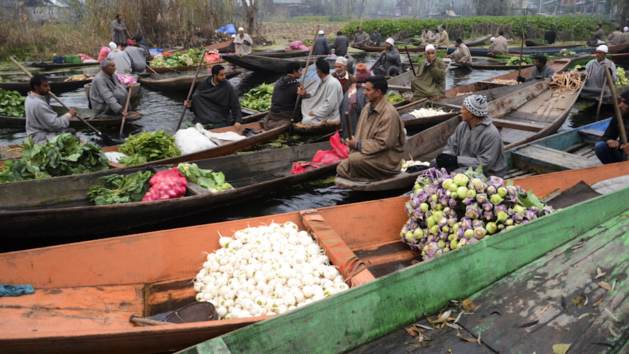 Dal Lake's floating wonders